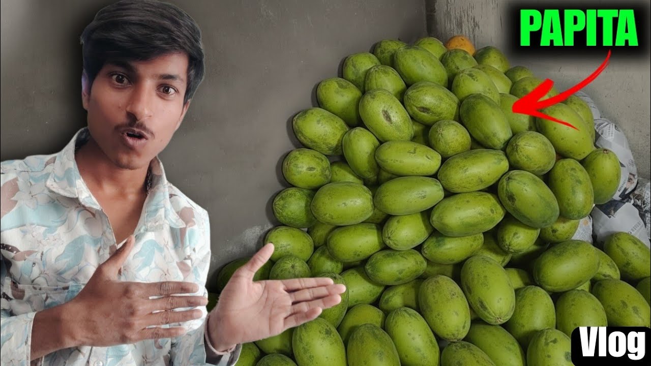 ITNE SARE PAPITA IN MY HOME 😱