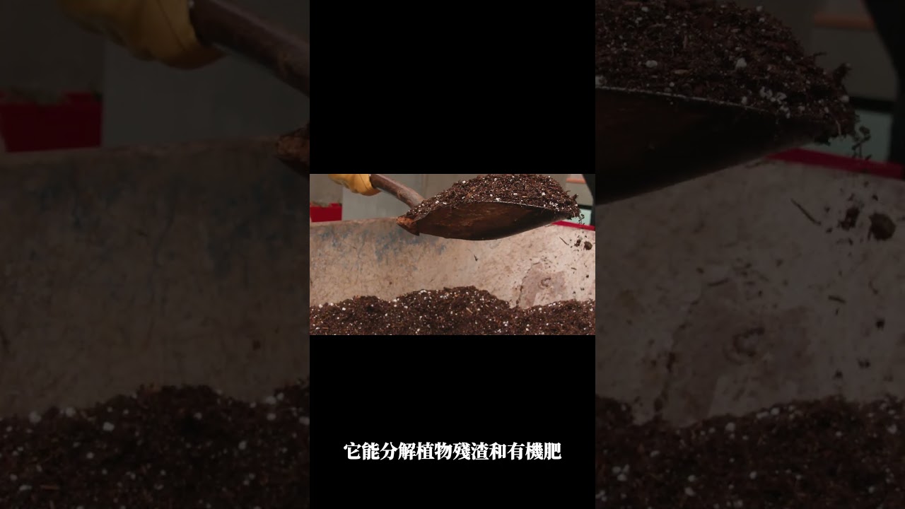 土壤的超級員工-光合菌的5個神奇效果