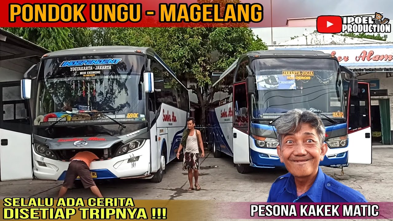 SELALU ADA CERITA SETIAP NAIK BUS INI ‼️ Trip Bareng Kakek Matic 69oc Pondok Ungu - Magelang