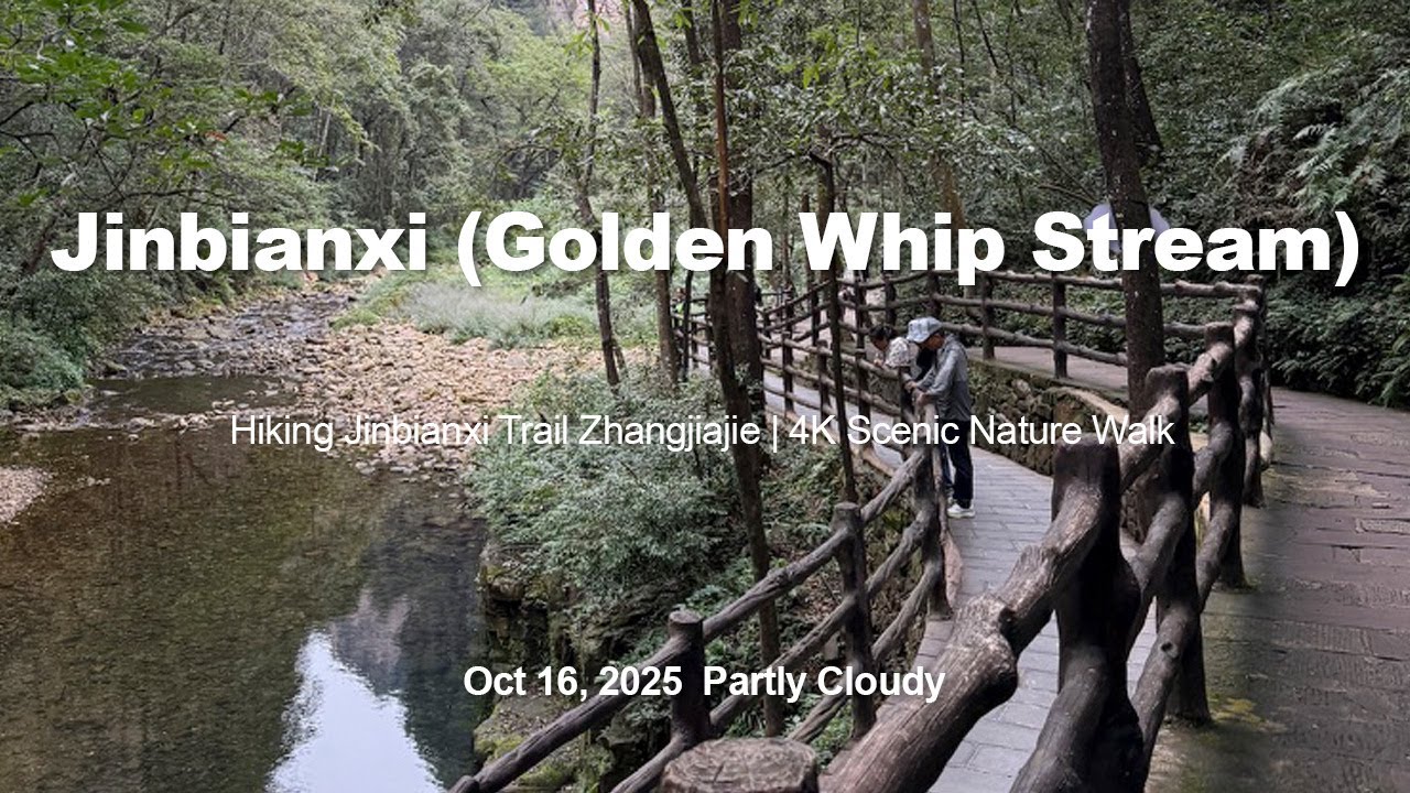 Full Hiking Adventure in Zhangjiajie National Forest Park &mdash; Golden Whip Stream (Jinbianxi Trail)