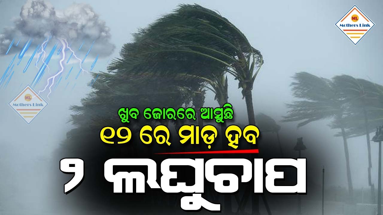 Today evening rainfall in odisha | 17 districts yellow warning | IMD Alert | Monsoon rain inodisha