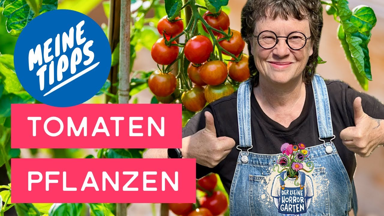 Die besten Tomaten Tipps für eine fette Ernte! Der kleine Horrorgarten