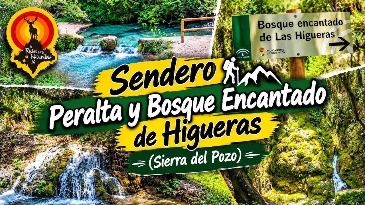 Sendero  Peralta y Bosque Encantado de las Higueras (Sierra del Pozo) | De rutas por la naturaleza