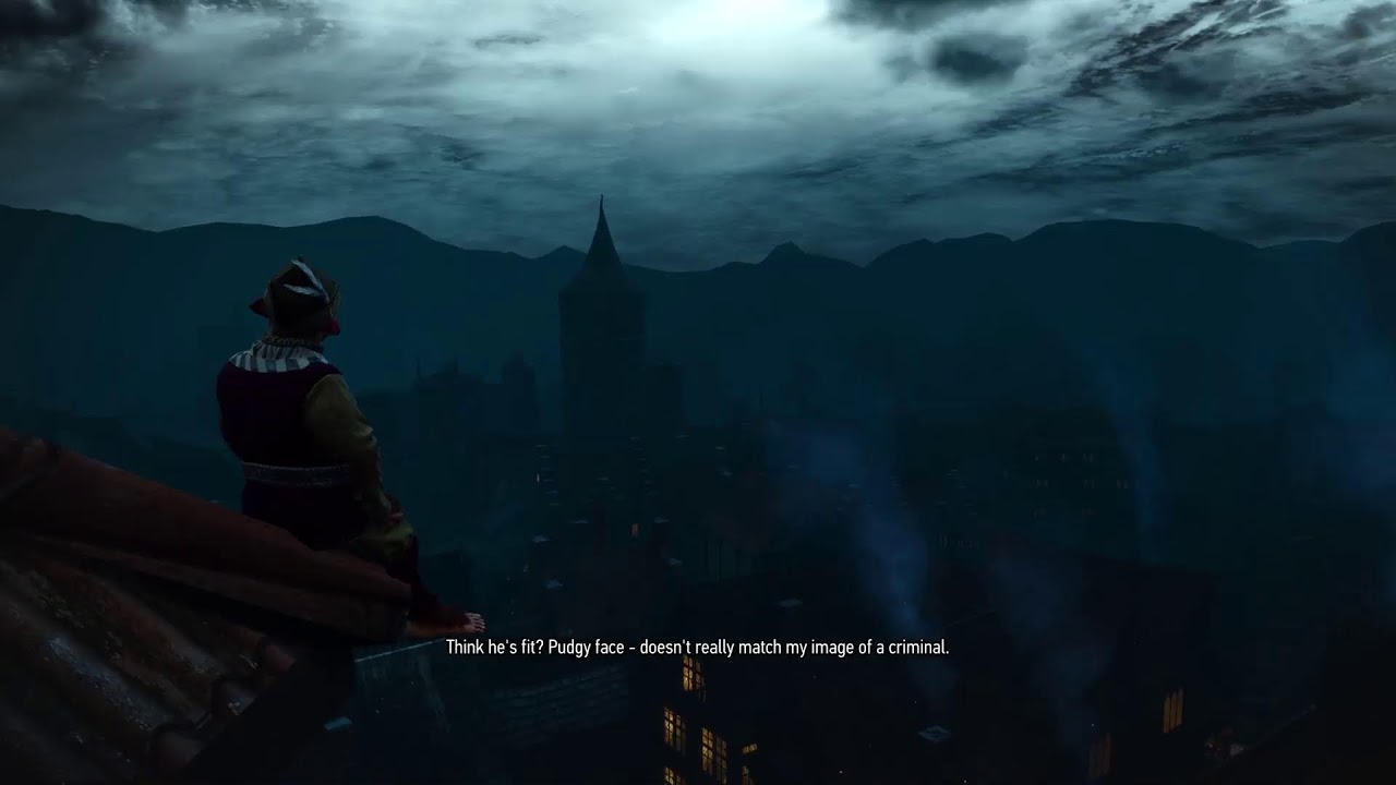 The Witcher 3 PS5 Playthrough pt 19 continued