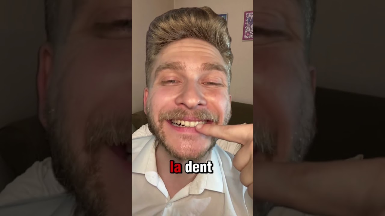 Vocabulaire du visage Niveau A1 ! 