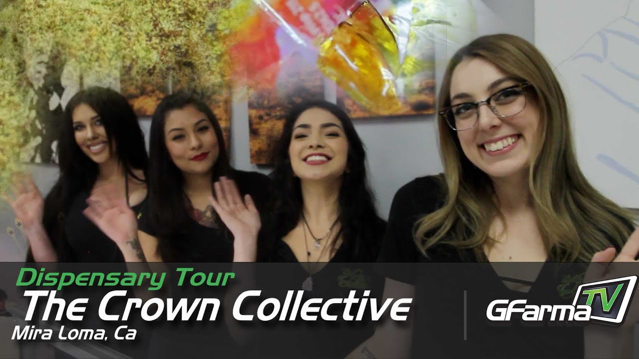 GFarmaTV - Visits The Crown Collective TCC
