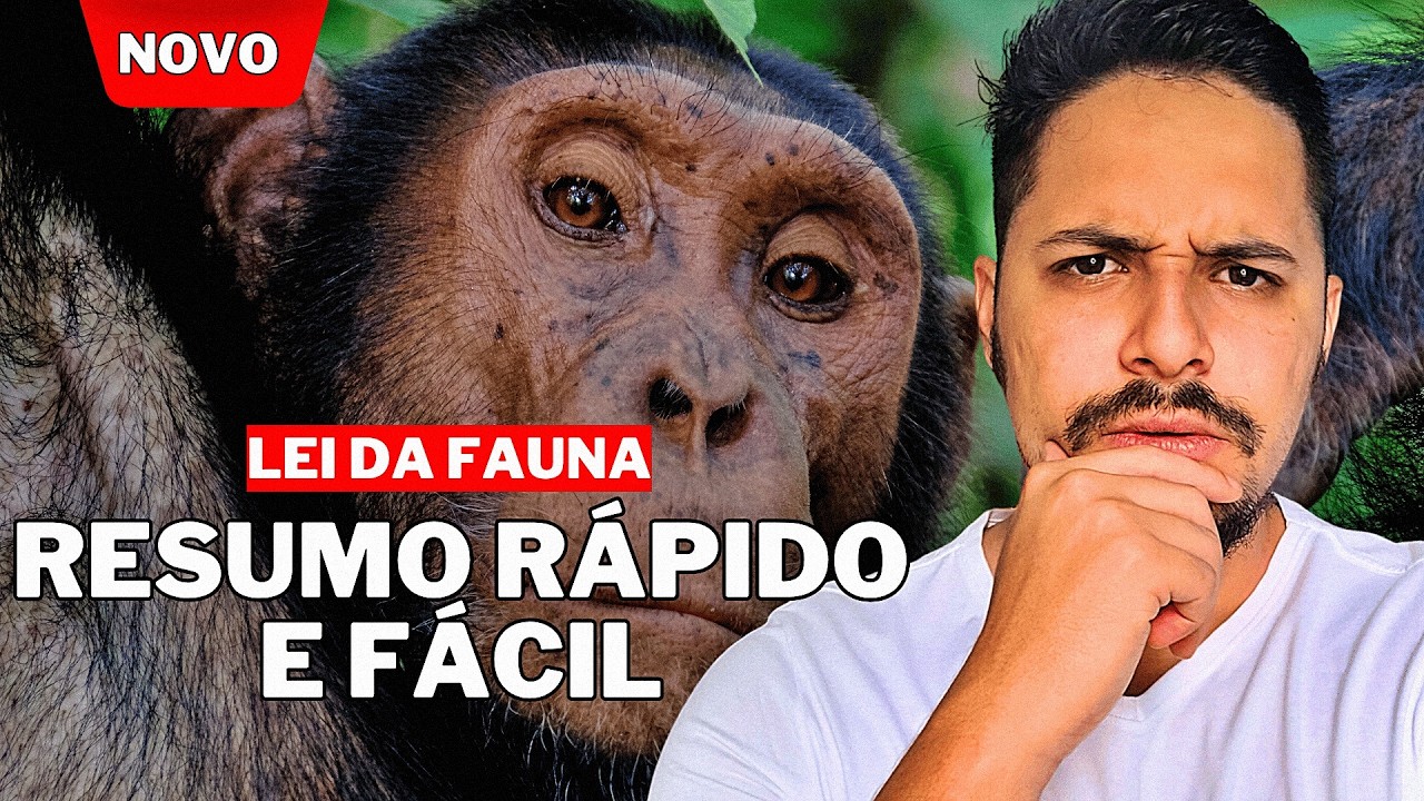 FÁCIL   Entenda a LEI DA FAUNA em MÍNUTOS