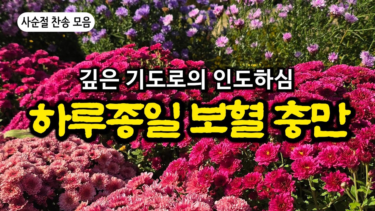 [보혈찬송모음] 내 주의 보혈은| 오늘의 말씀과 찬송 | 고백과 기도음악 | 기도와 명상 | 눈물로 기도하며 불렀던 그날의 찬양 | 새벽기도용 | 중간광고없음 | Hymn