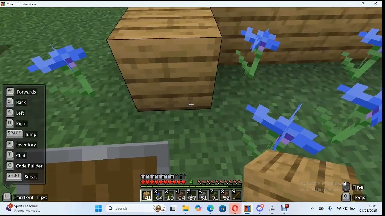 Minecraft 