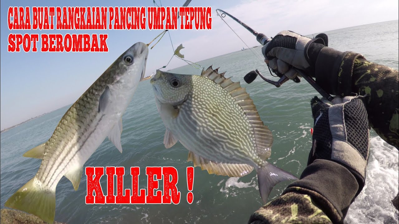 Cara Buat Rangkaian Pancing Umpan Tepung Spot Ombak Besar : Killer Untuk Mancing Belanak & Baronang