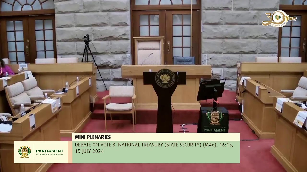 MINI PLENARIES, Budget Vote 8: National Treasury (State Security) (M46), 15 July 2024