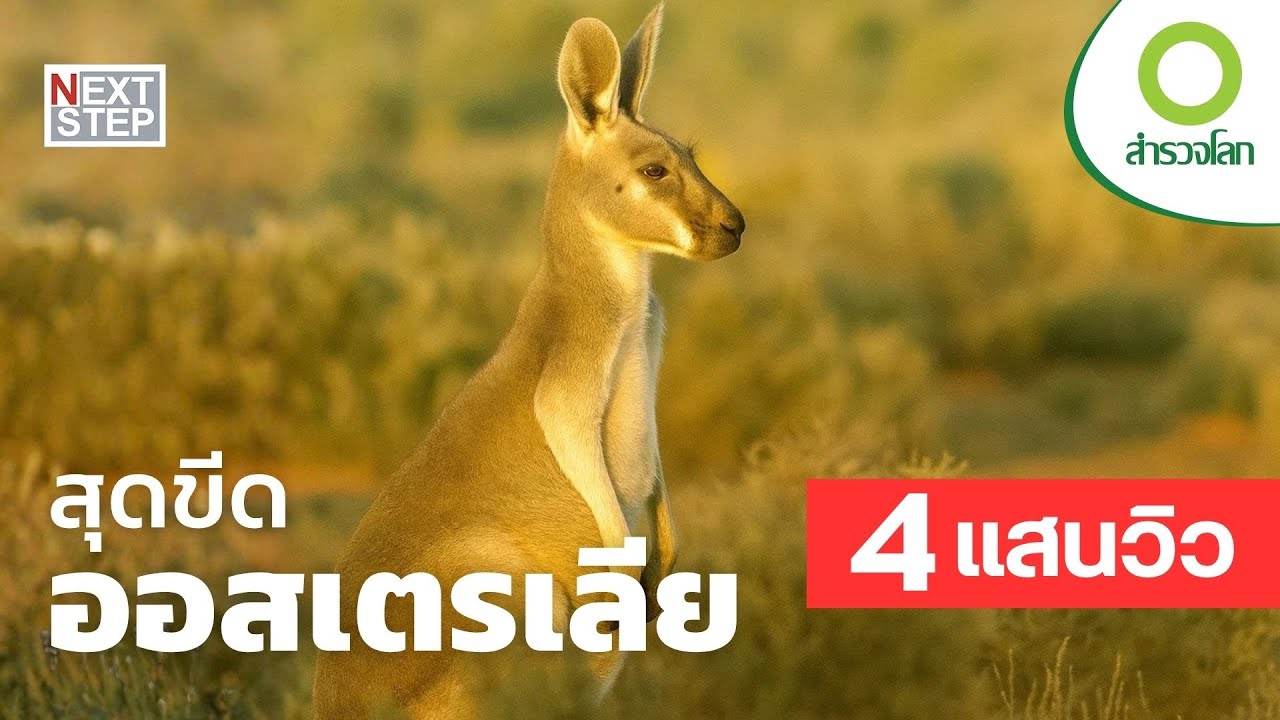 สุดขีดออสเตรเลีย | สารคดี สำรวจโลก