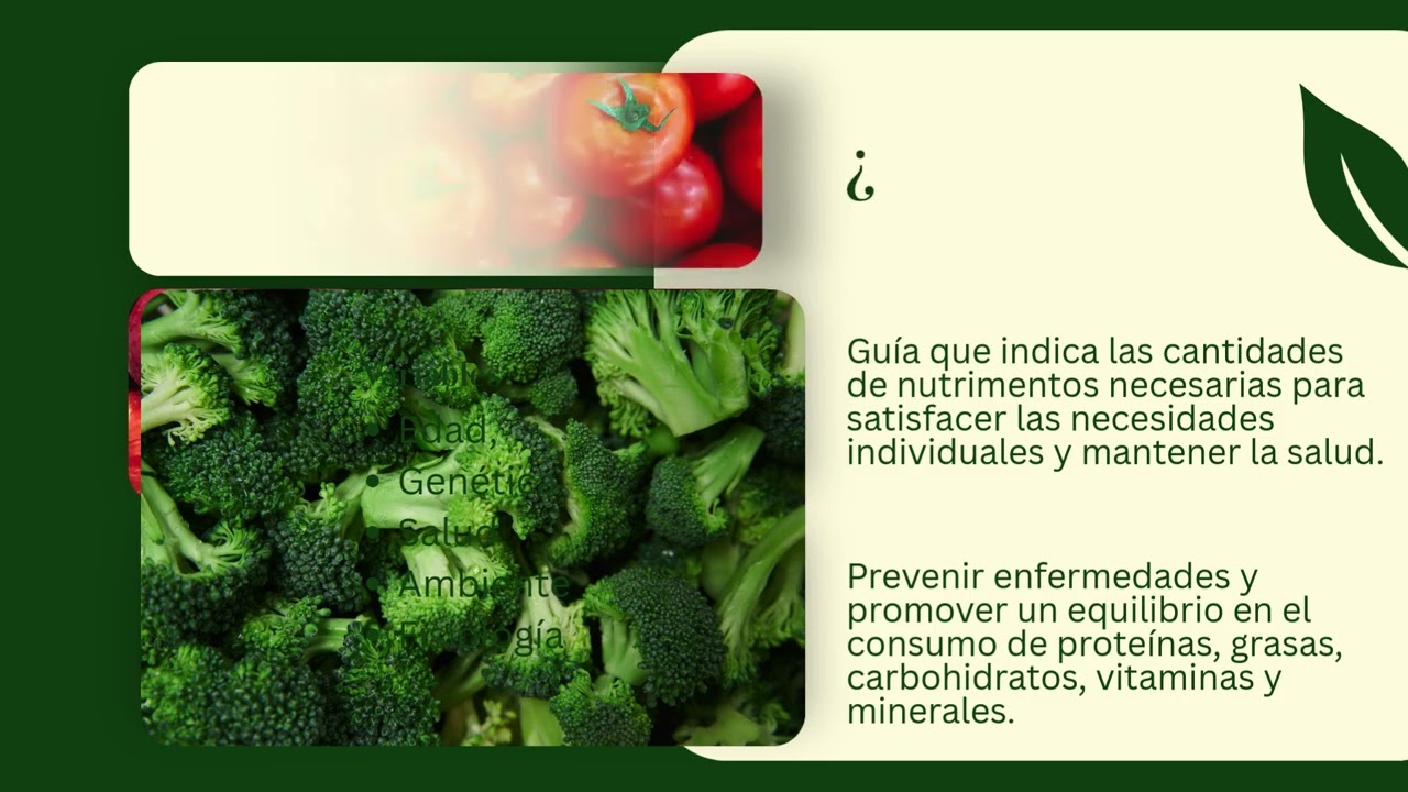 Guías Alimentarias y recomendaciones Dieteticas