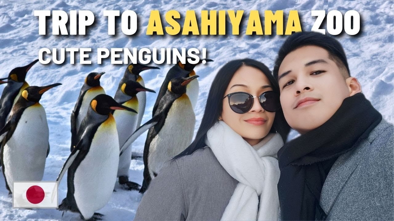 Asahiyama Zoo in HOKKAIDO | Sapporo To ASAHIKAWA, Snow Animals, Asahikawa Shrine | JAPAN DAY 5 [1/2]