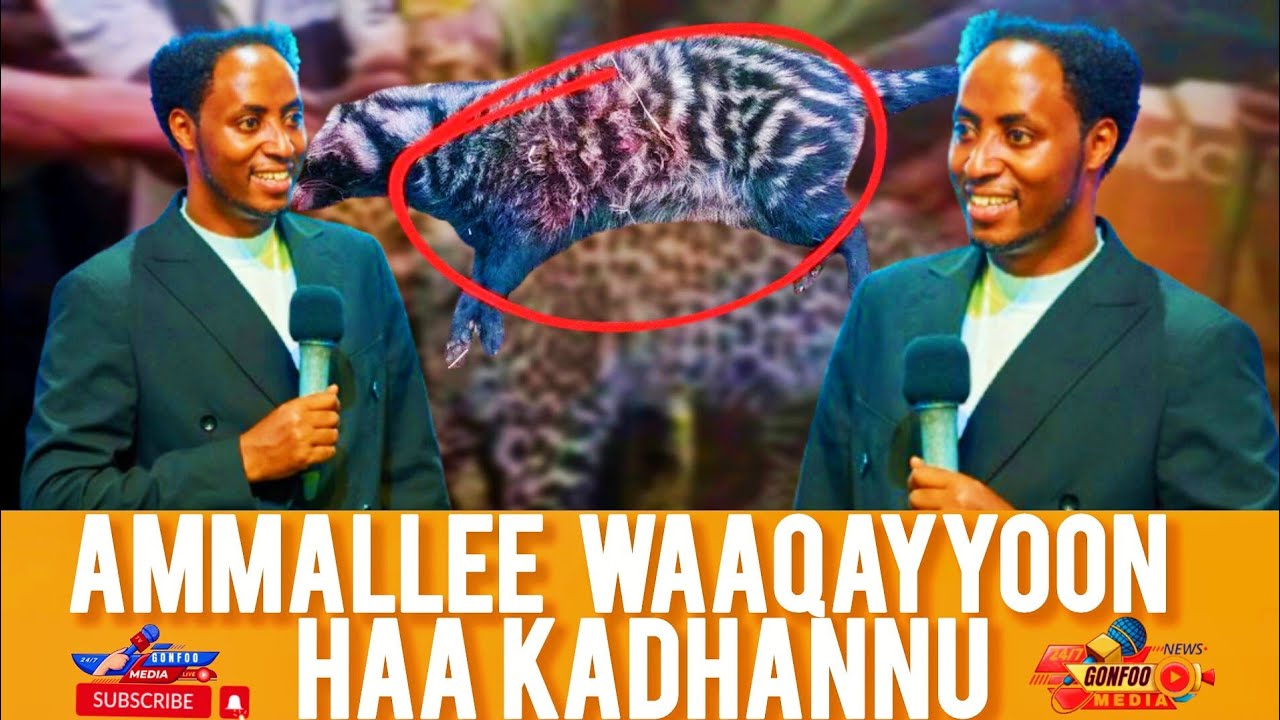 Ergaan Raajii masarat dubbatan ammallee Raawwachuutti jira Waaqayyoon haa kadhannu 