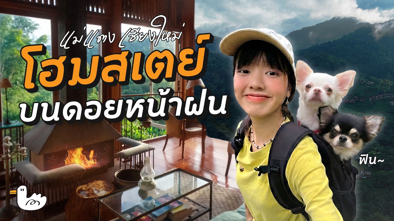 9 กิโล เส้นทางเดินป่ากับหมา ไปนอนโฮมสเตย์กลางดอยเชียงใหม่