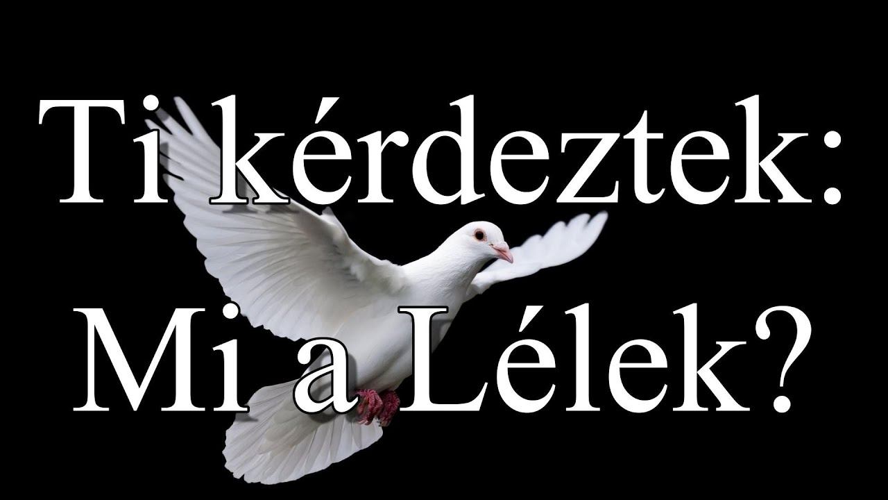 Ti kérdeztek: Mi a Lélek?