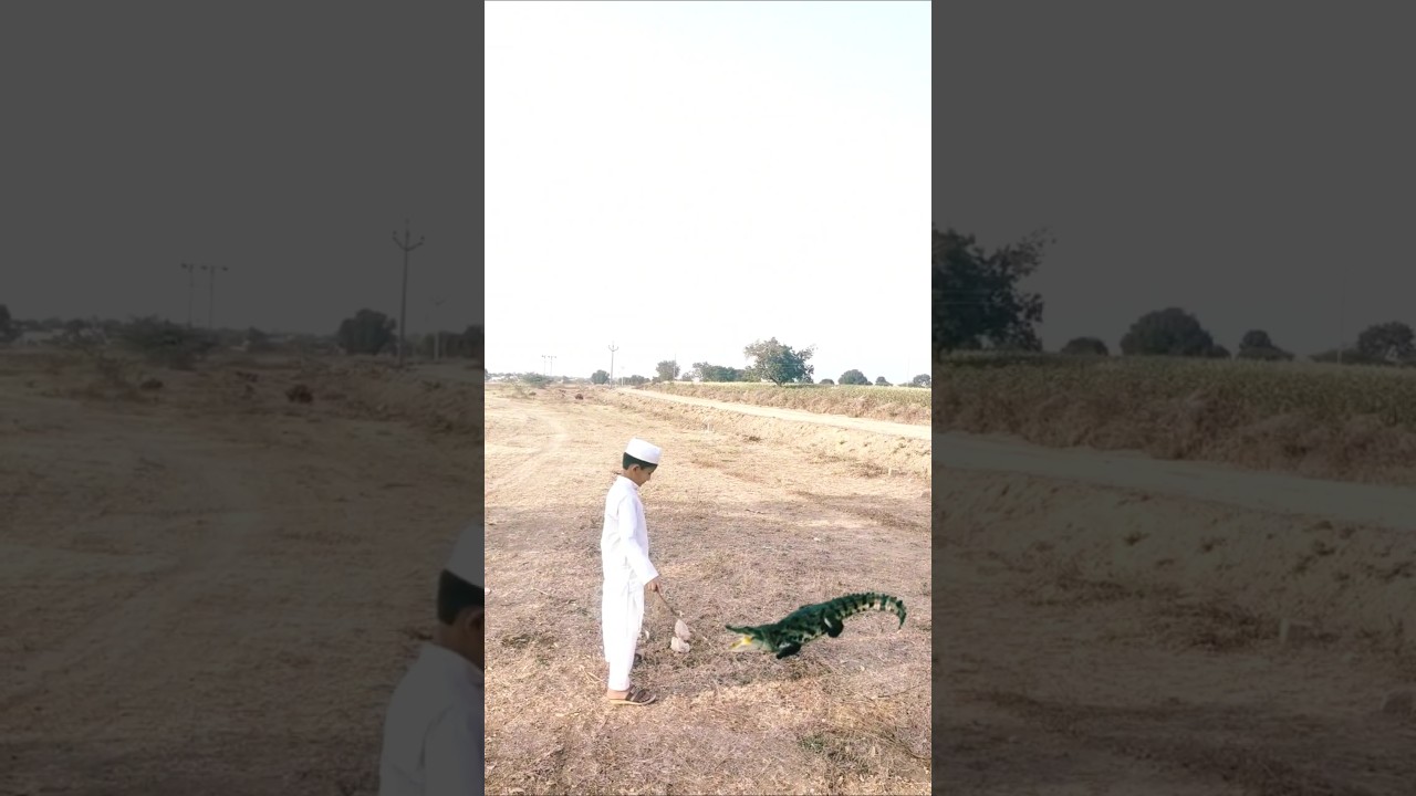 VFX Islamic World Viral Short Video #vfx #aliislamic yt #shorts #viralvideo #trending  #shortsfeed