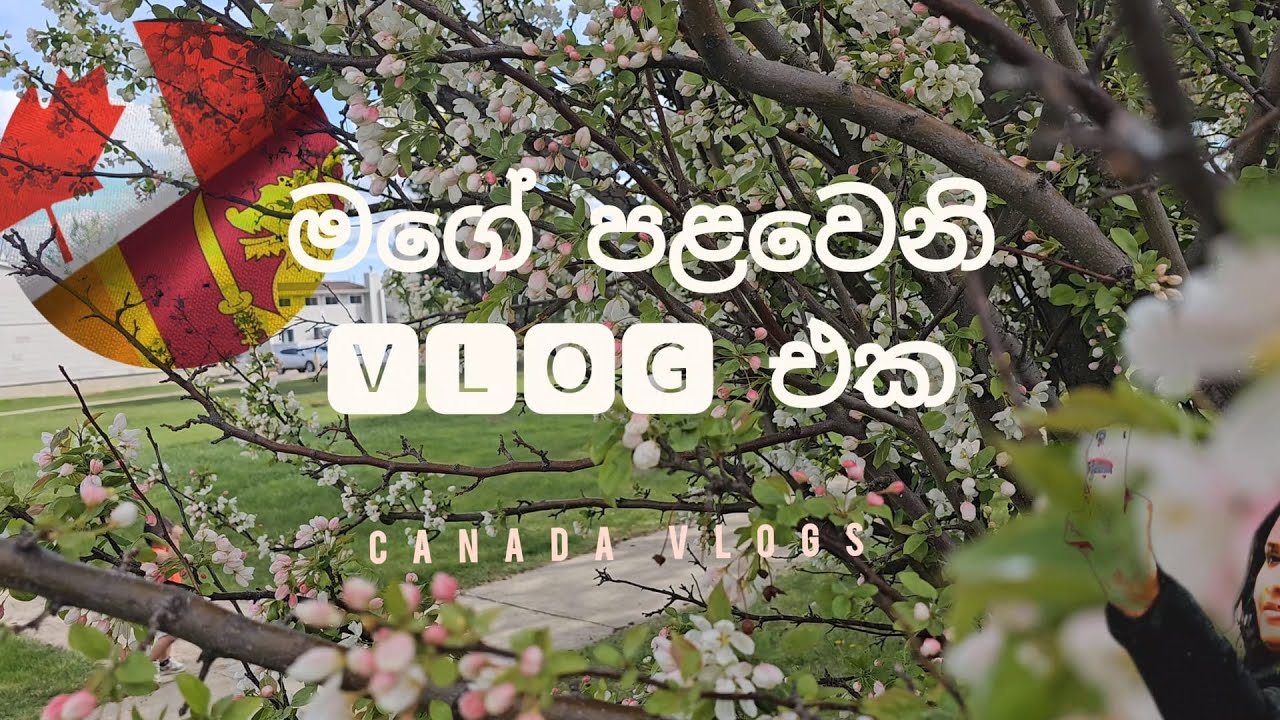 Edmonton Canada |  Alberta | Sinhala Vlog | LK ■ CA | My first Vlog