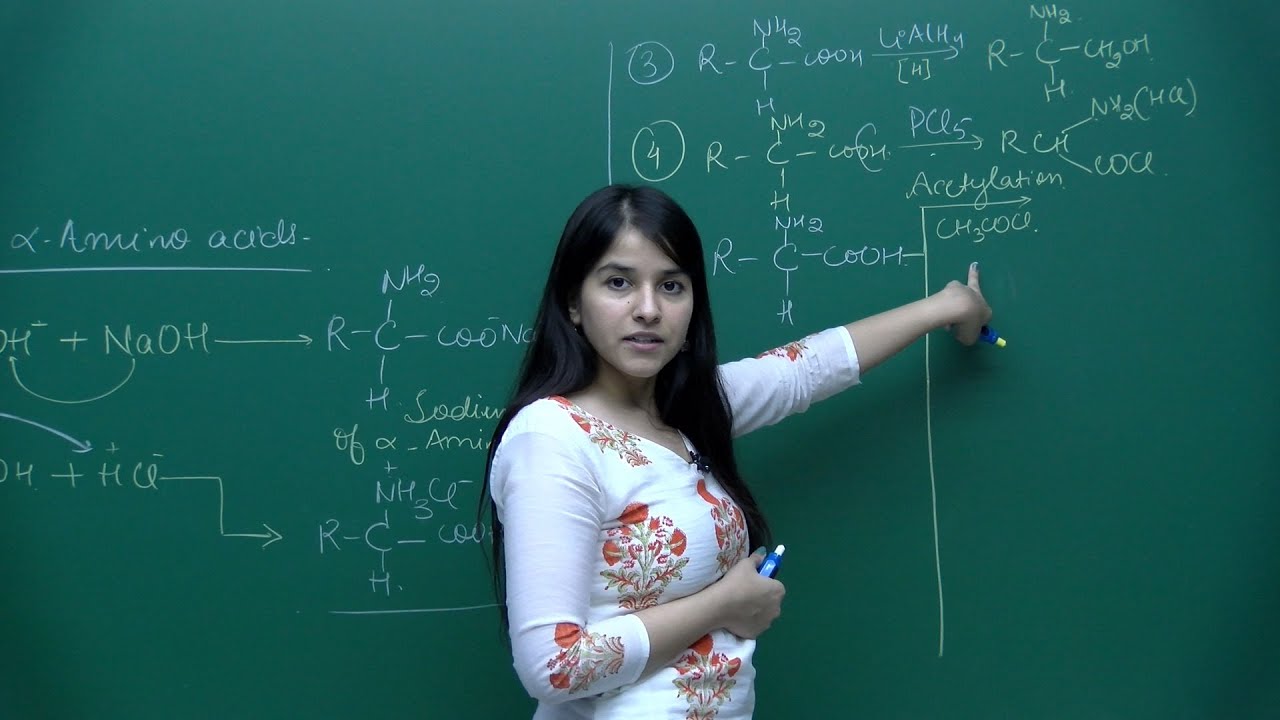 NEET Chemistry | Chemical Reactions of Amino Acids | Theory & Problem-Solving | In English