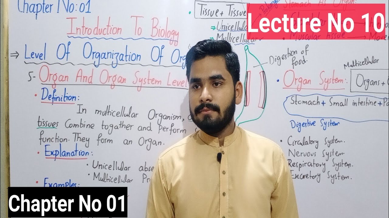 Organ And Organ System Level Class 9 In Urdu Hindi By Haider Ali || Lecture No 10 || Chapter No 01