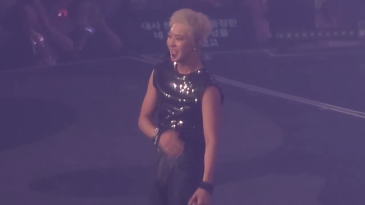 250713 호우콘서트 막콘 호시 i want you back + stay + 호랑이파워 + 호랑해 HOSHI X WOOZI FAN CONCERT [WARNING]