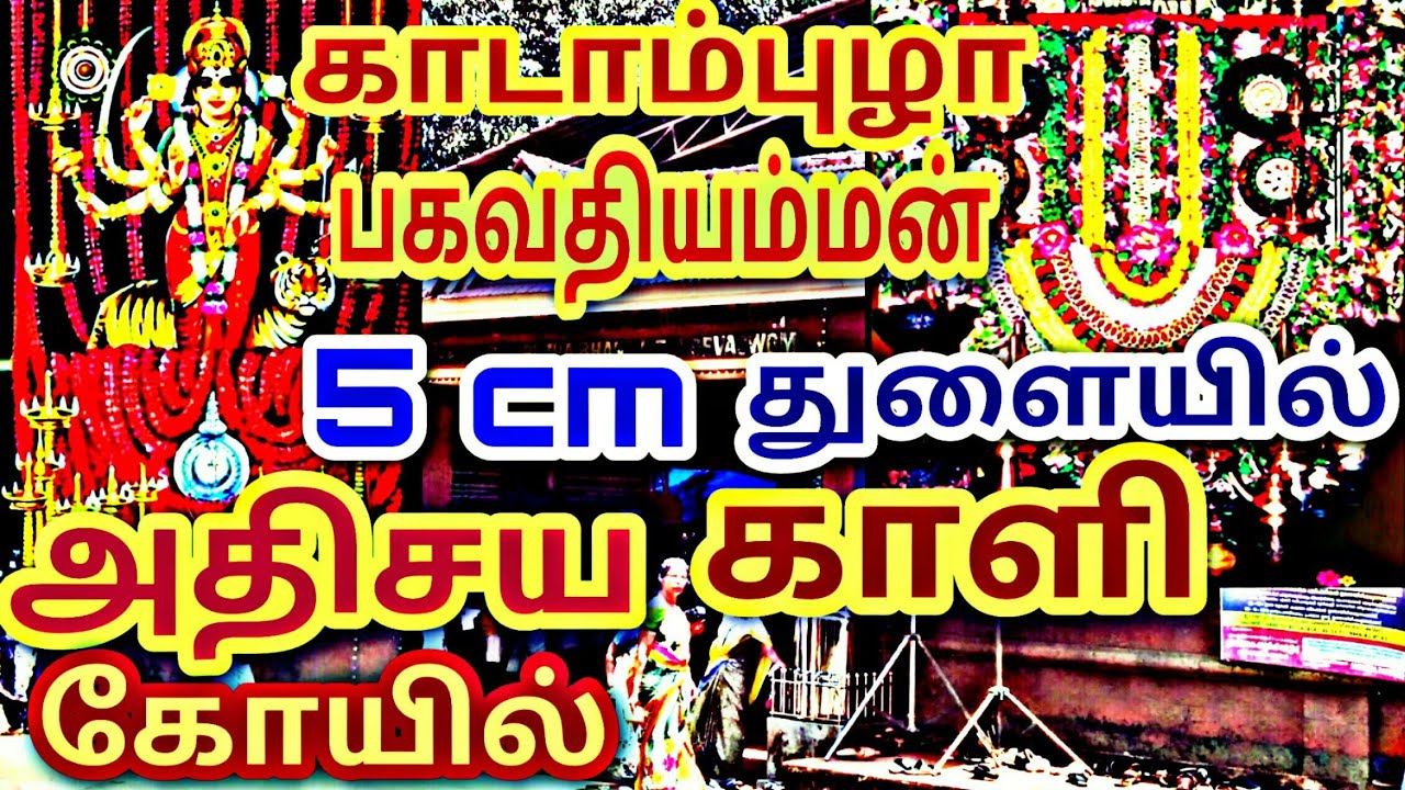 Kadampuzha பகவதியம்மன் 5 cm துளையில் அதிசய காளிக்கோயில்,மலப்புரம் மாவட்டம்,கேரள மாநிலம்.