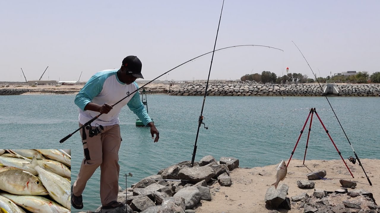 New fishing and Camping spot for beginners and families in Abu Dhabi | Al Bahia