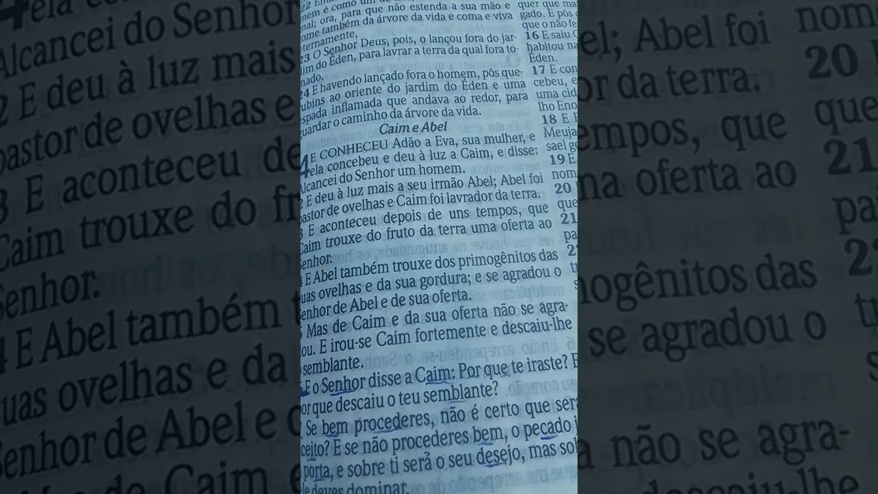O Homicídio 