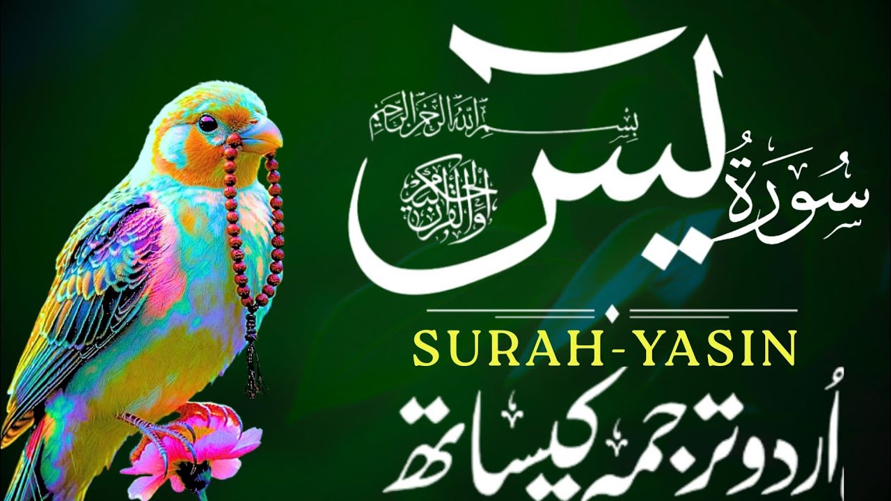 Surah Yaseen with Urdu Translation | EP 185 | Most Beautiful & Calming Quran Recitation | Al Muqra