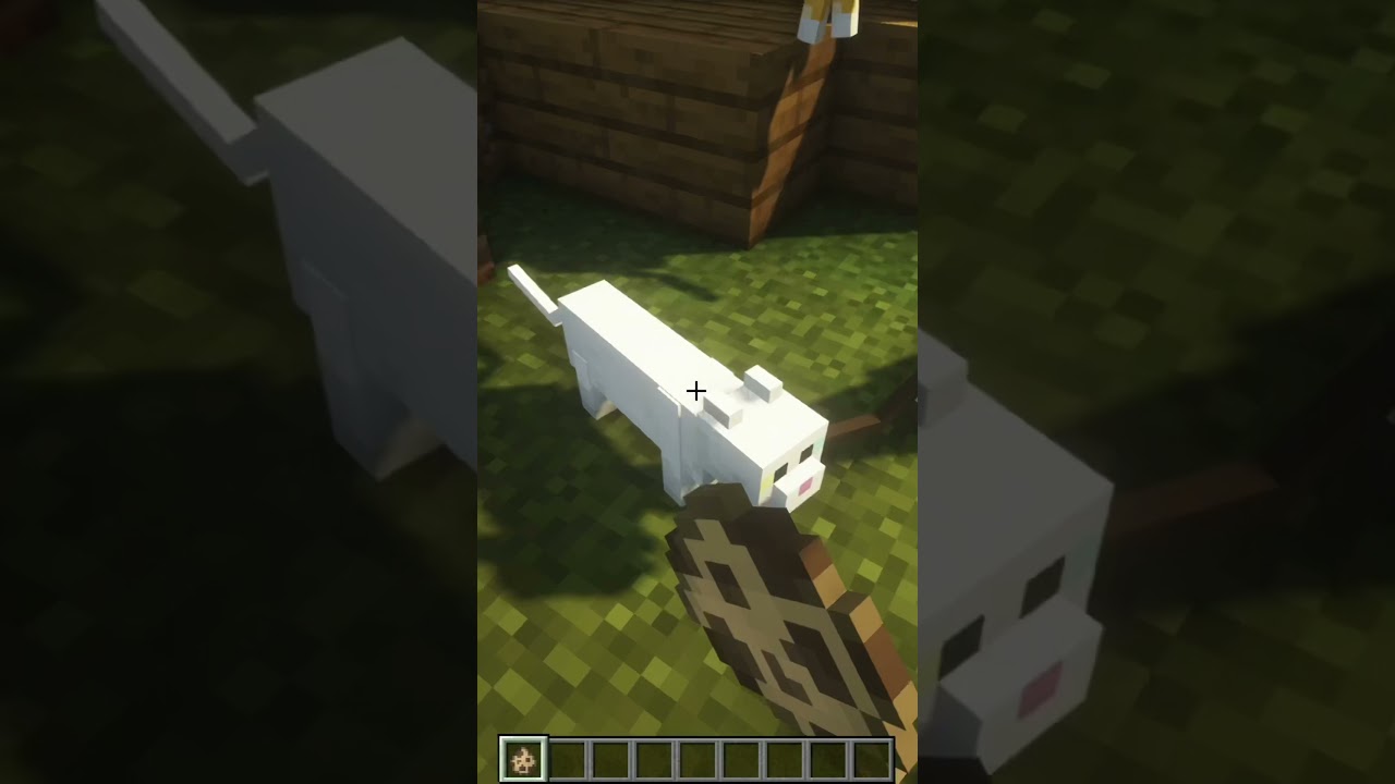 How to ALWAYS spawn a black cat in Minecraft!