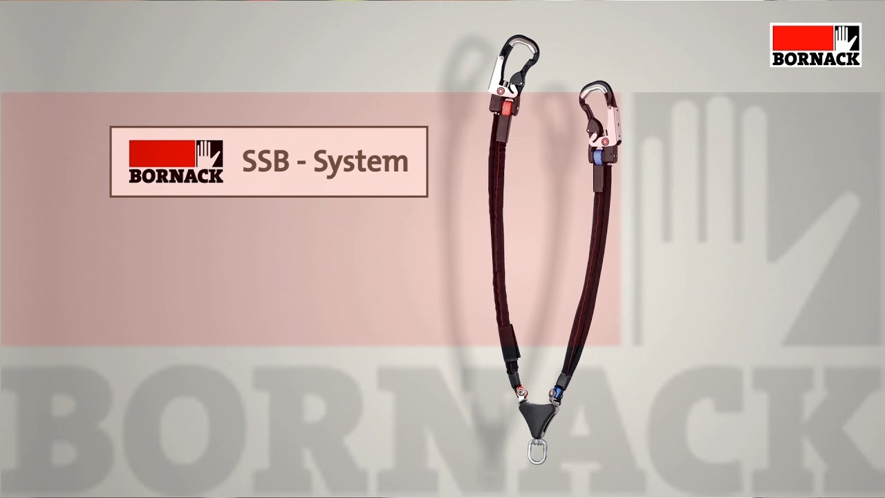 BORNACK SAFE LINK SSB - de