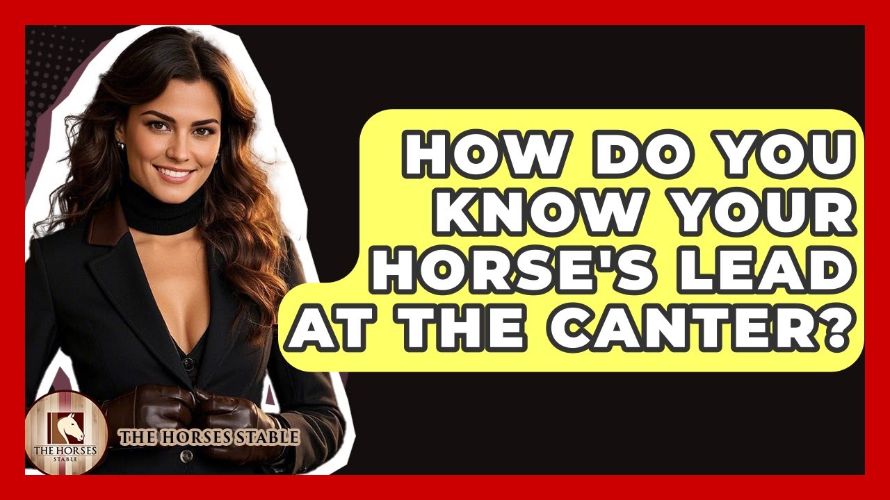 How Do You Know Your Horse's Lead At The Canter? - The Horses Stable