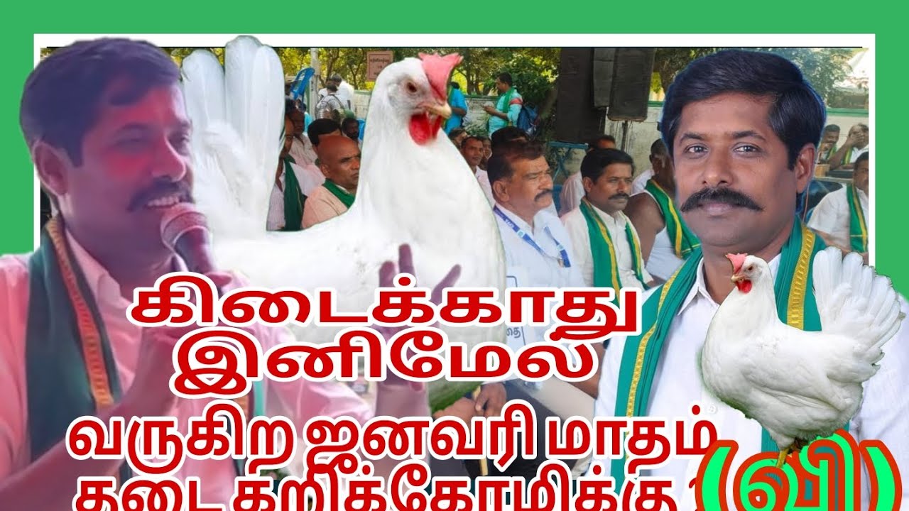 விவசாயிகள் கறிக்கோழி இனிமேல் வளர்ப்பு  இல்லை என்று முடிவு #விவசாயம் #former #agriculture #உஜவன் Tv, 