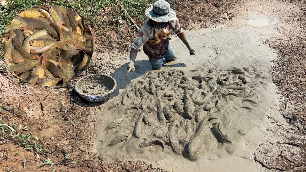 ខះទឹកសុទ្ធត្រី