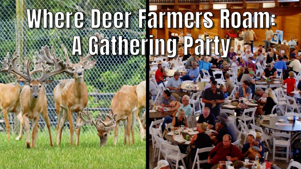 Let’s Have a Party: IDEFA Picnic