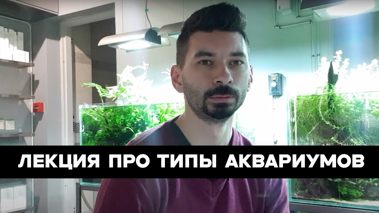 Лекция про пресноводные аквариумы. Какие они бывают?