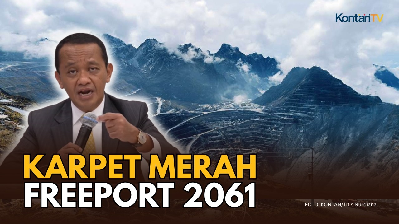 Freeport Diperpanjang Hingga 2061, RI Kantongi Tambahan Investasi US$ 20 Miliar?