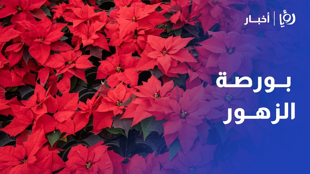 بورصة الزهور في الأردن تشتعل!  كيف أنعش عيد الحب مبيعات السوق المركزية؟ حوار مع م جلال أبو الغنم
