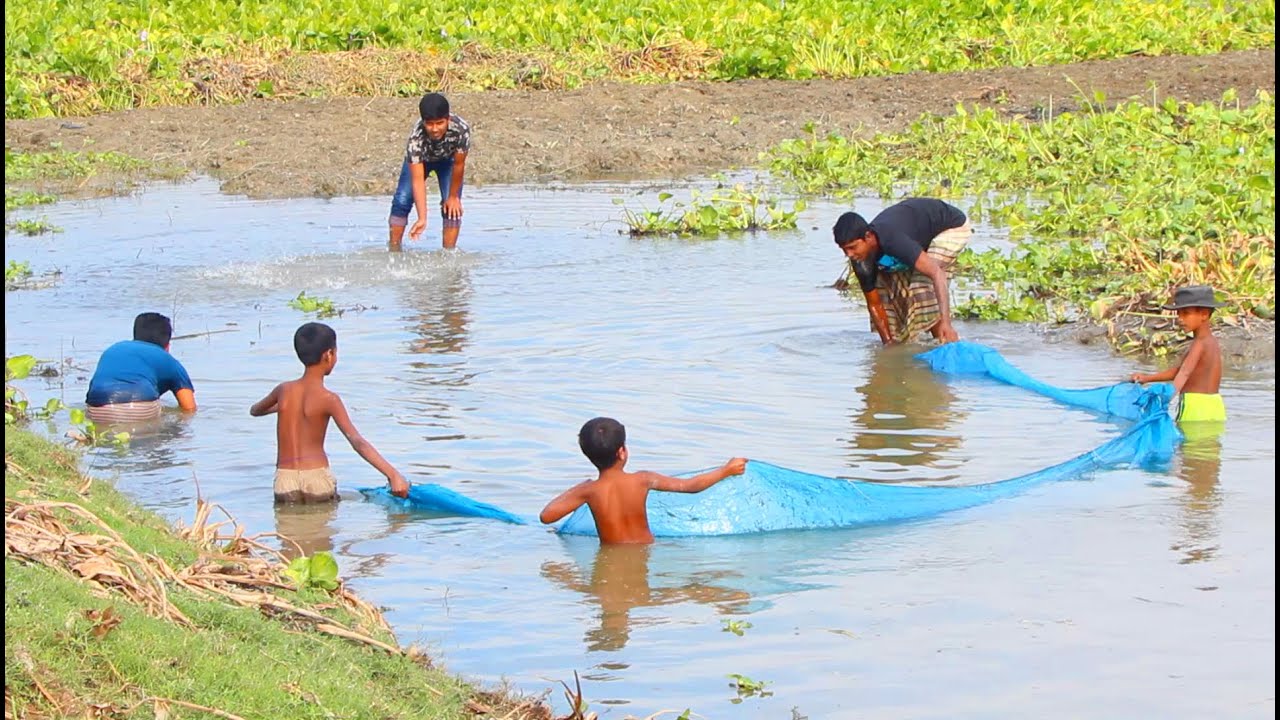 Best net fishing in small village river || Net fishing at the village river with beautiful natural