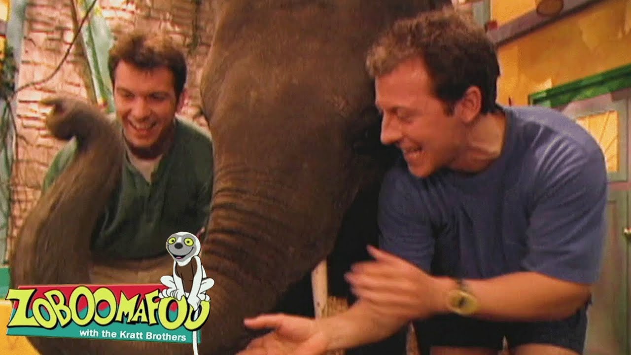 Le nez sait | Zoboomafoo Française - WildBrain | Apprenez-en plus sur les Animaux!