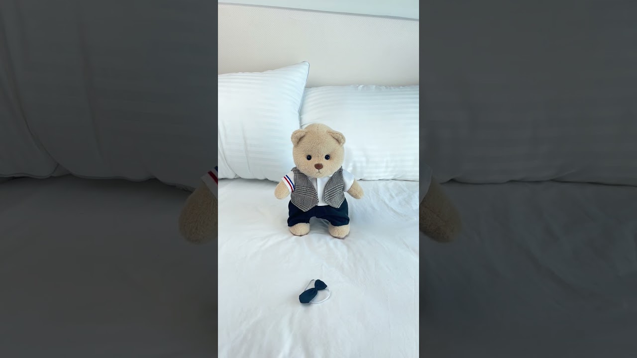 Try To Be An Adult Bear#getahug #toy #cutebear #kawaii #unboxing #gift #giftideas