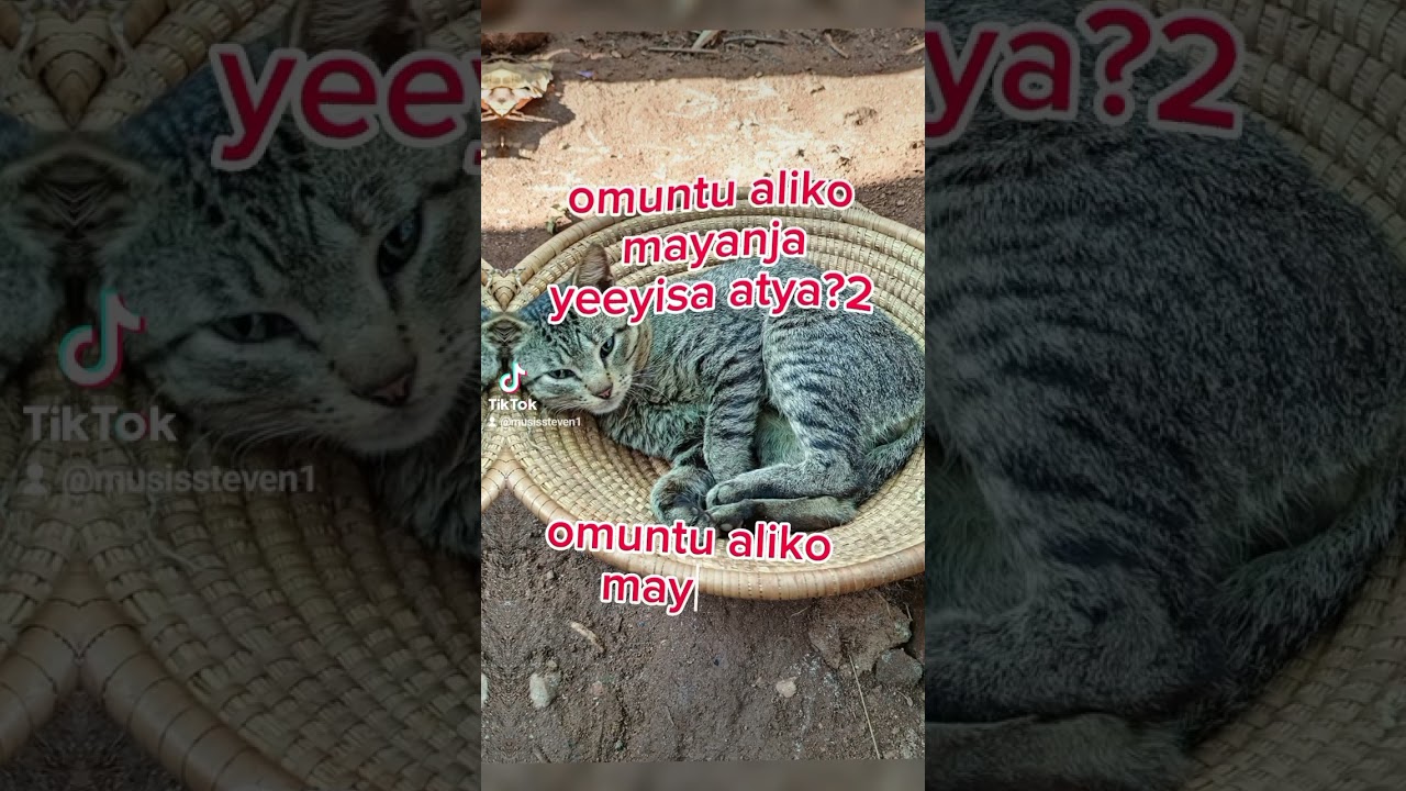 omulongo mayanja namayanja #lubaale