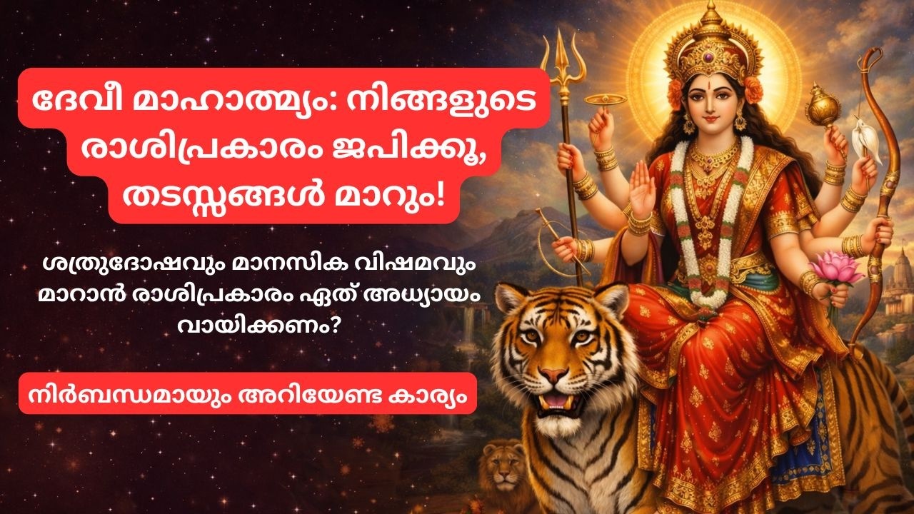 രാശി അനുസരിച്ച് ദേവീ മഹാത്മ്യം | ഈ അധ്യായം ജപിച്ചാൽ ജീവിതം മാറാം  | DeviMahatmyam