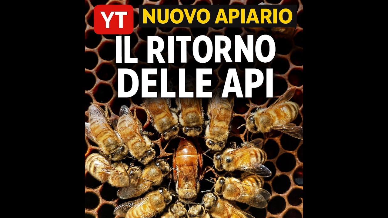 Apicoltura CD: Ho trovato il 