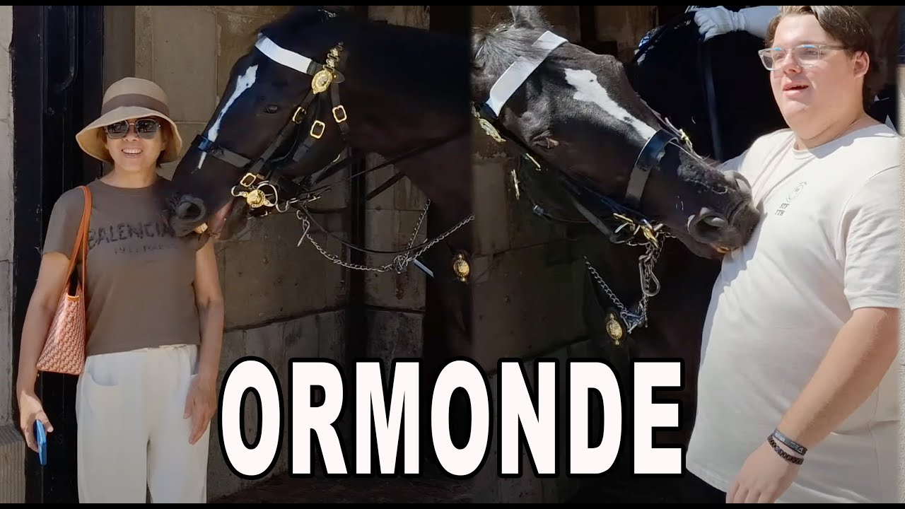 Frustrated King Ormonde Takes Revenge and Bites Clueless Tourists 🔥🐴