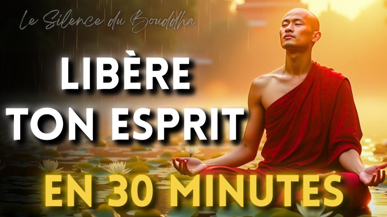 Libère le Poids Mental en 30 Minutes... 7 Clés Bouddhistes  | Le Silence du Bouddha