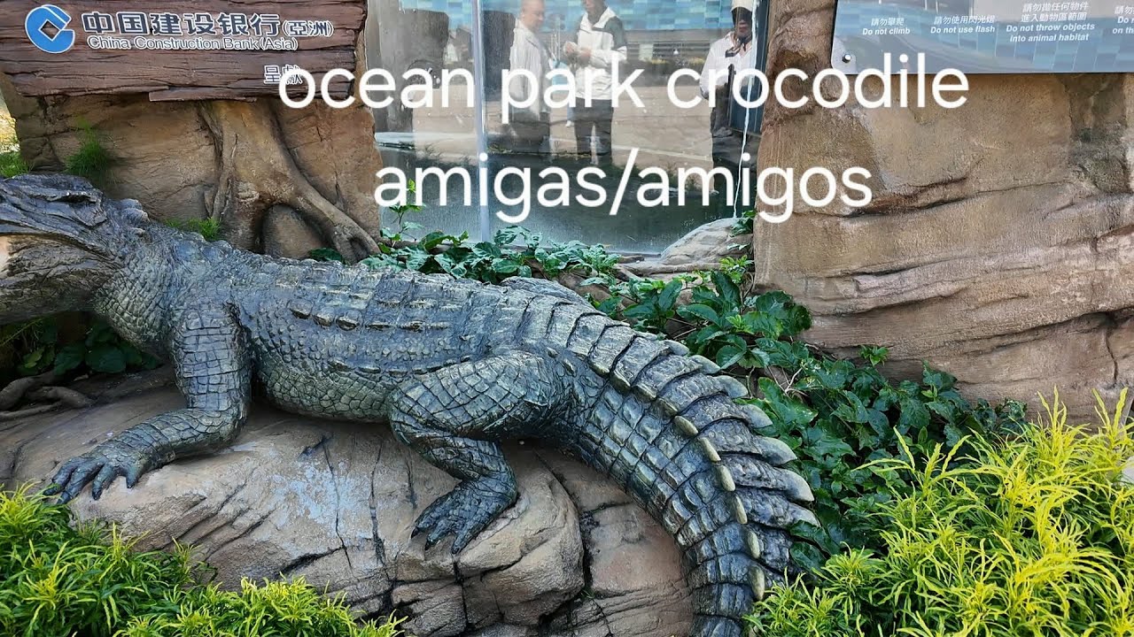 Explore ocean park hongkong amigas/amigos