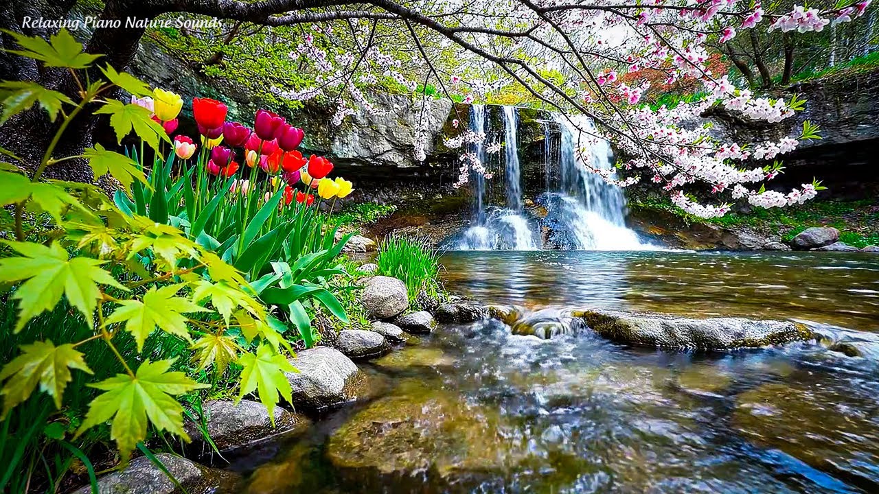 Meditation Music – Peaceful Garden Lake With Waterfall & Blooming Flowers