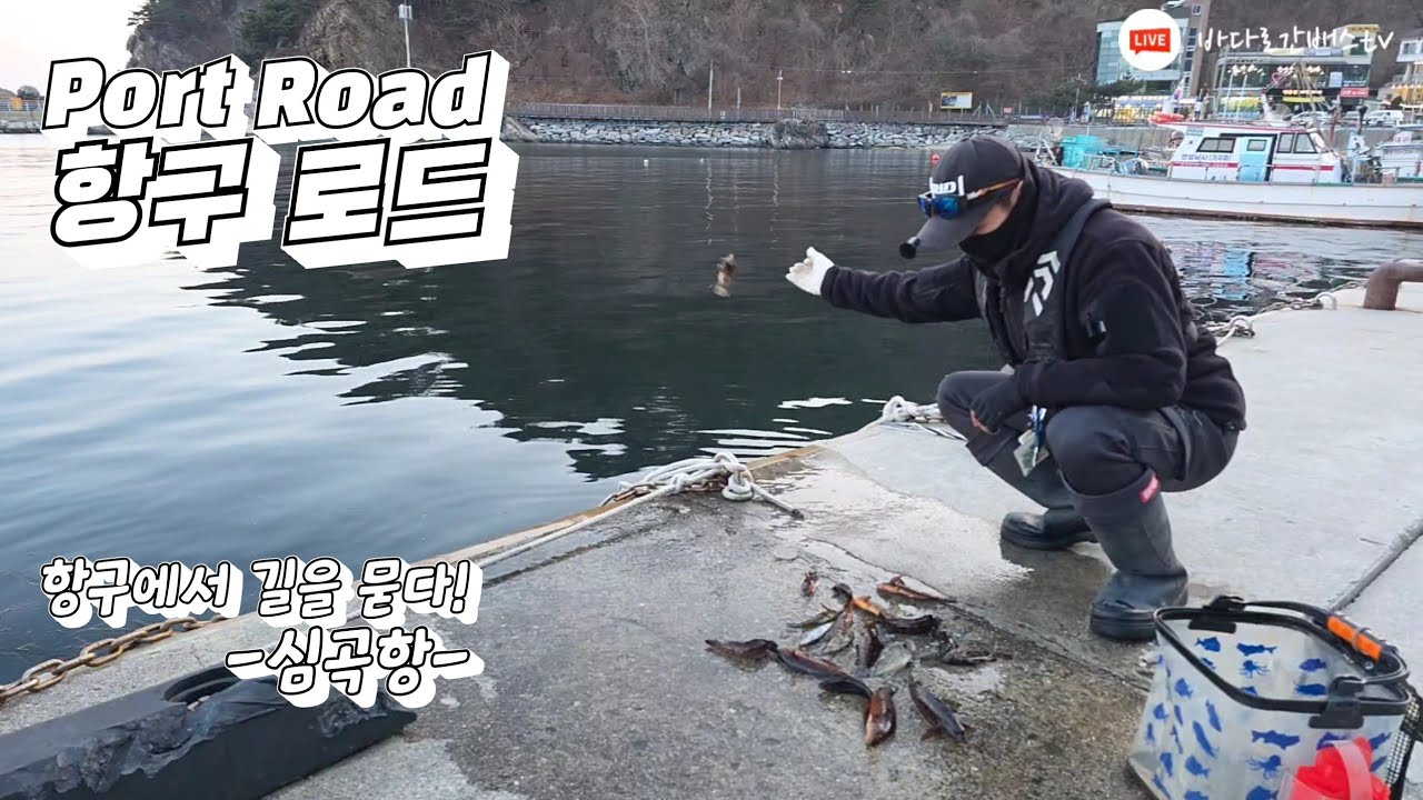 심곡항 생명체를 찾아서~ 21수!! 구멍치기가 미래다!